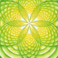 Light Seed